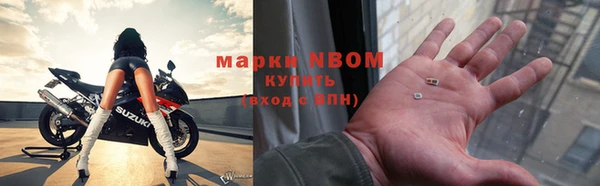индика Алзамай