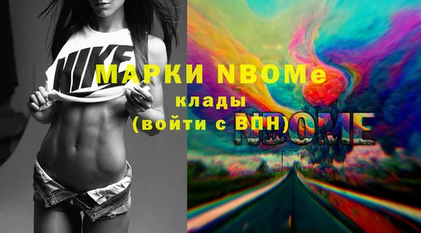 индика Алзамай