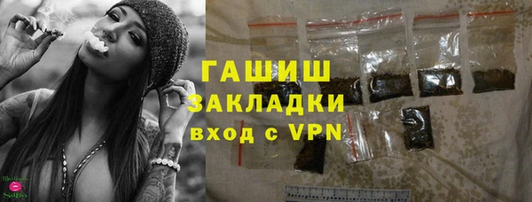 индика Алзамай