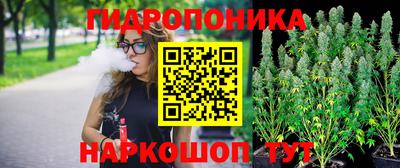 прущие крисы Гатчина