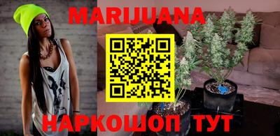 прущие крисы Гатчина